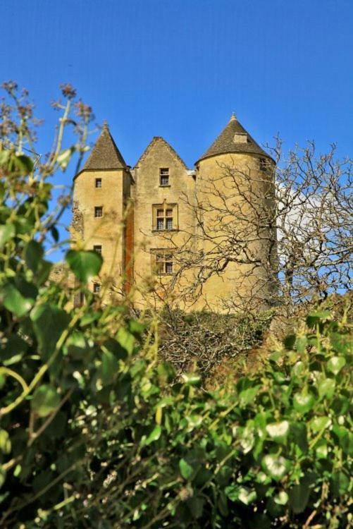 Petite Maison En Pierre Au Coeur Du Perigord Noir Salignac Eyvigues Eksteriør billede
