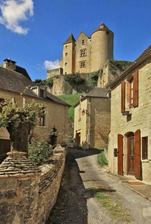 Petite Maison En Pierre Au Coeur Du Perigord Noir Salignac Eyvigues Eksteriør billede